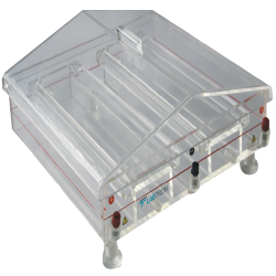 Horizontal Electrophoresis System (DUAL TANK) LHES-B10