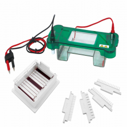 Horizontal Electrophoresis System LHES-A11