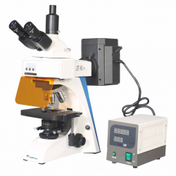 Fluorescence Microscope LFM-C11